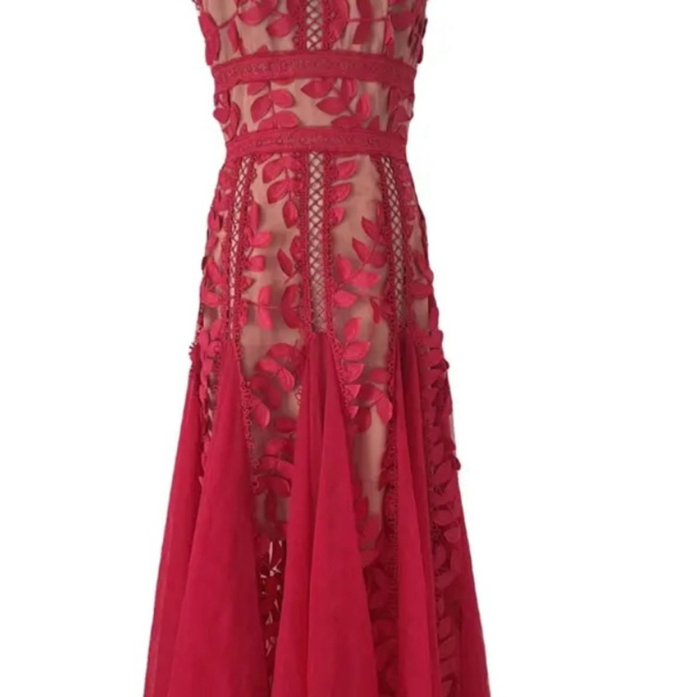 Bronx and Banco Bold Red Lace & Appliqué Midi Dress - Picture 4 of 11